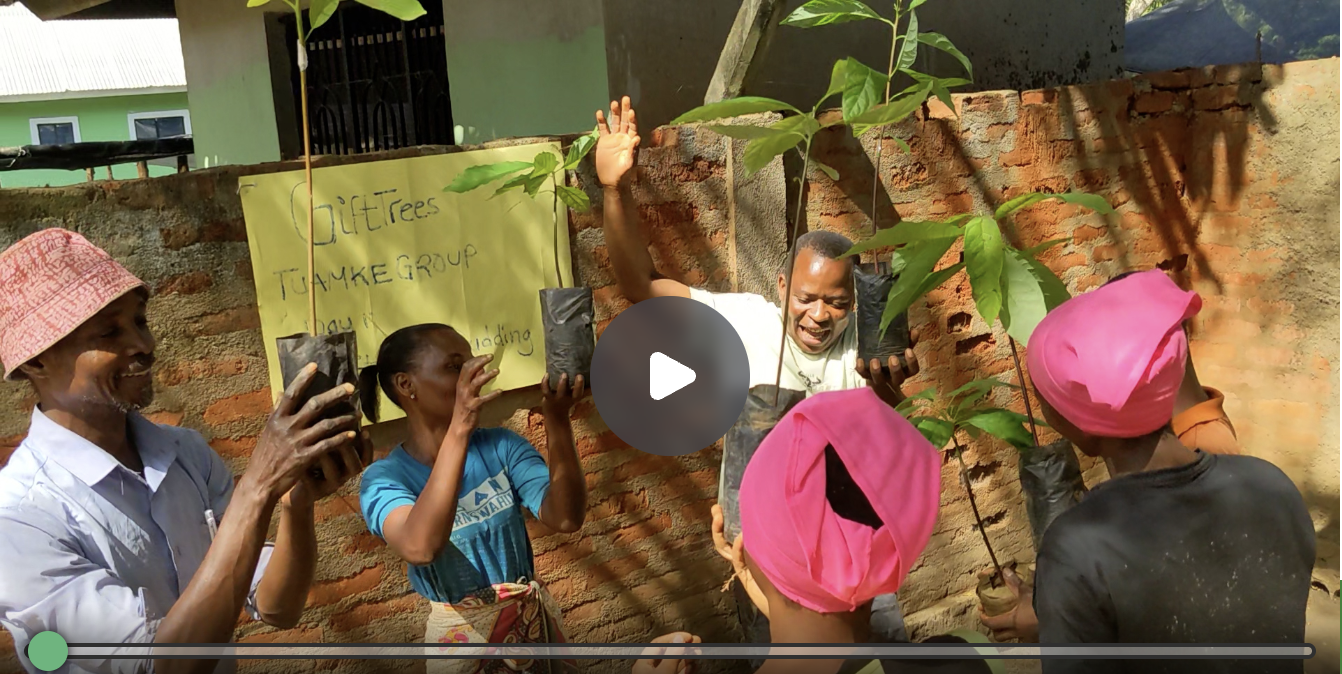 Planting A Better Future Through Agroforestry And Community Support